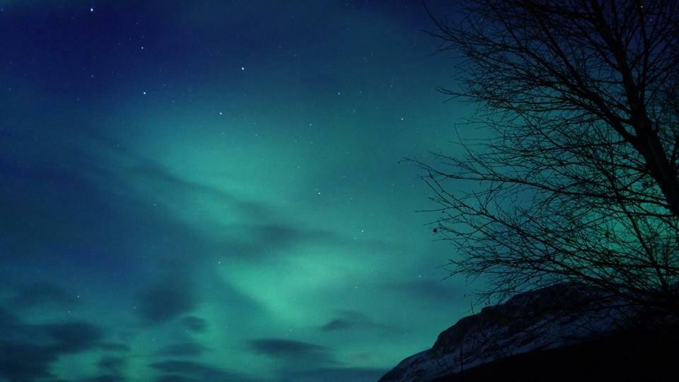 Ballangen Camping Нарвик Экстерьер фото