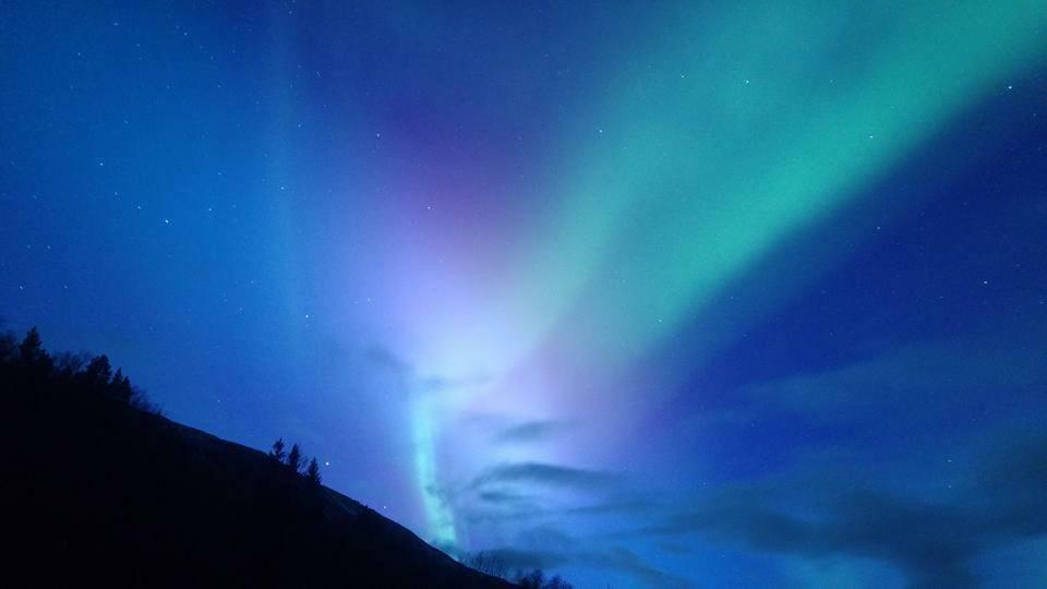 Ballangen Camping Нарвик Экстерьер фото